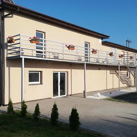 Ararauna Kamienica  Kültér fotó
